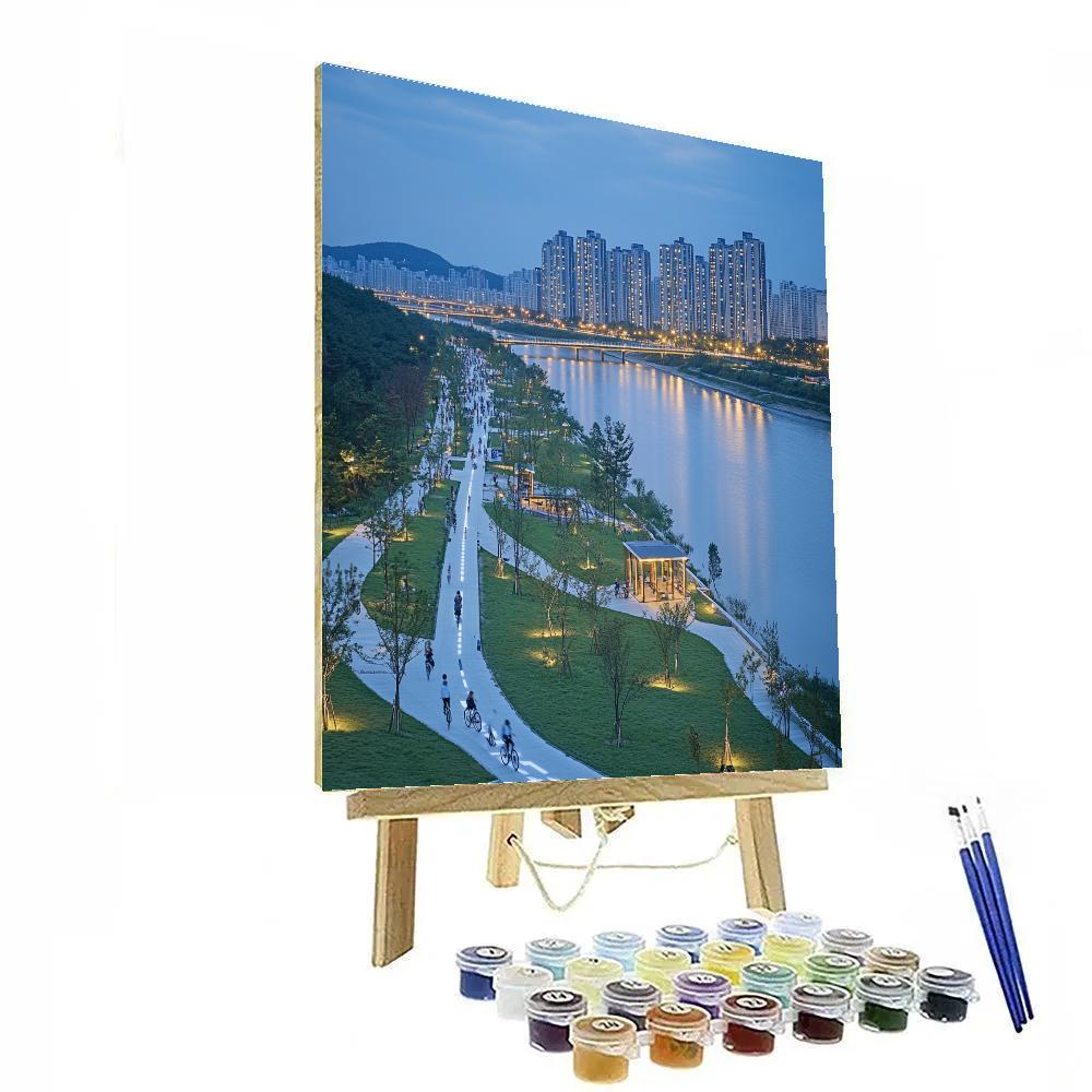 Evening Cycle On The Hangang River Park Seoul South Korea paint by numbers