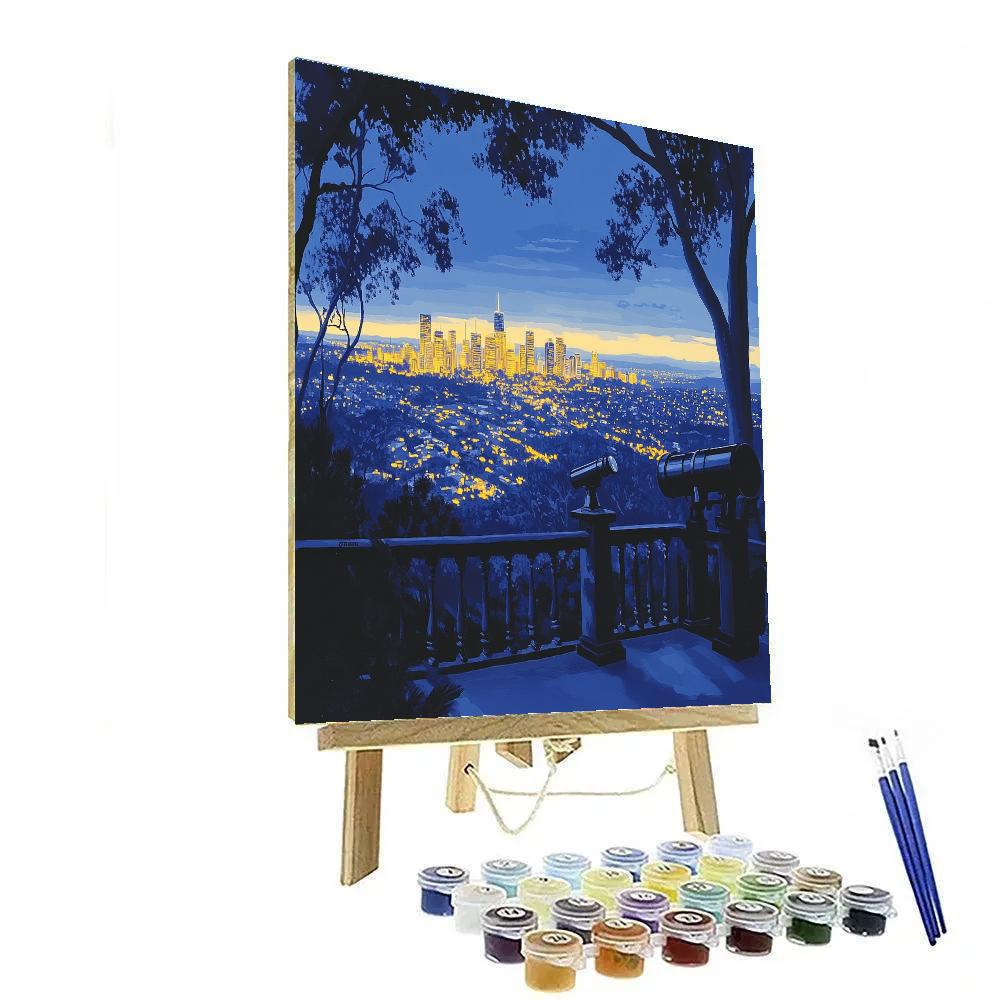City Lights From Mount Coot Tha Lookout Brisbane Australia paint by numbers
