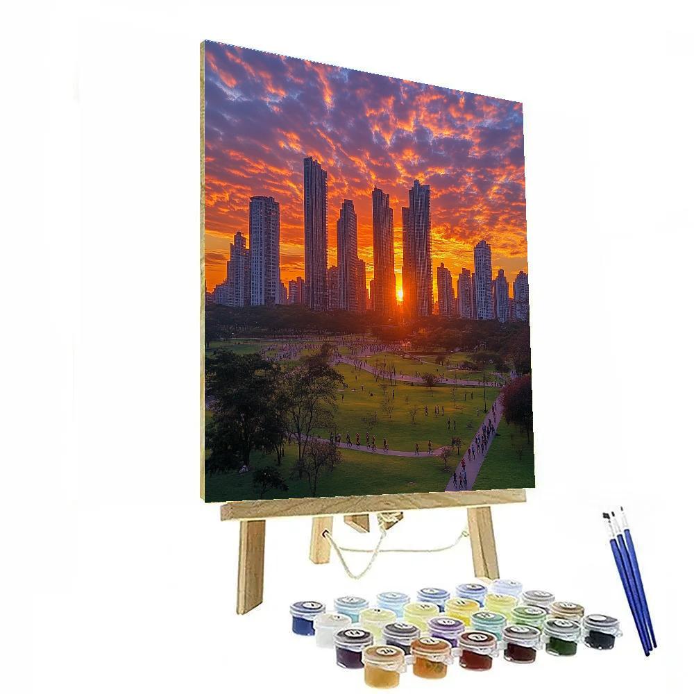 Sao Paulo Skyline With Ibirapuera Park In Evening Light Brazil Painting by numbers kit