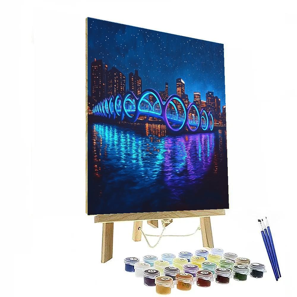 View Of Marina Bay At Night With Helix Bridge Singapore Paint by numbers art