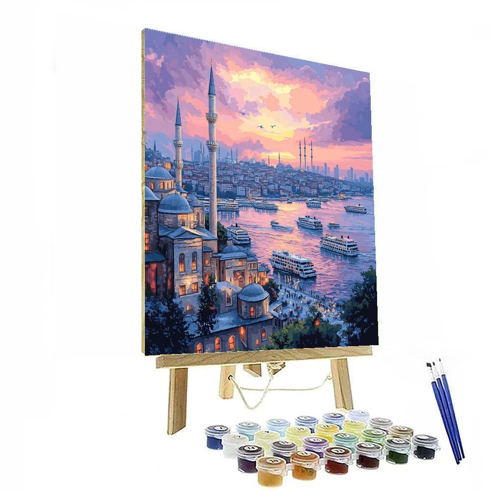 Sunrise Over Istanbul Bosphorus Urban Skyline Turkey Paint by numbers kits