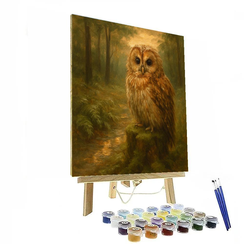 Owl In A Cozy Forest Clearing After Rain Paint by numbers kits