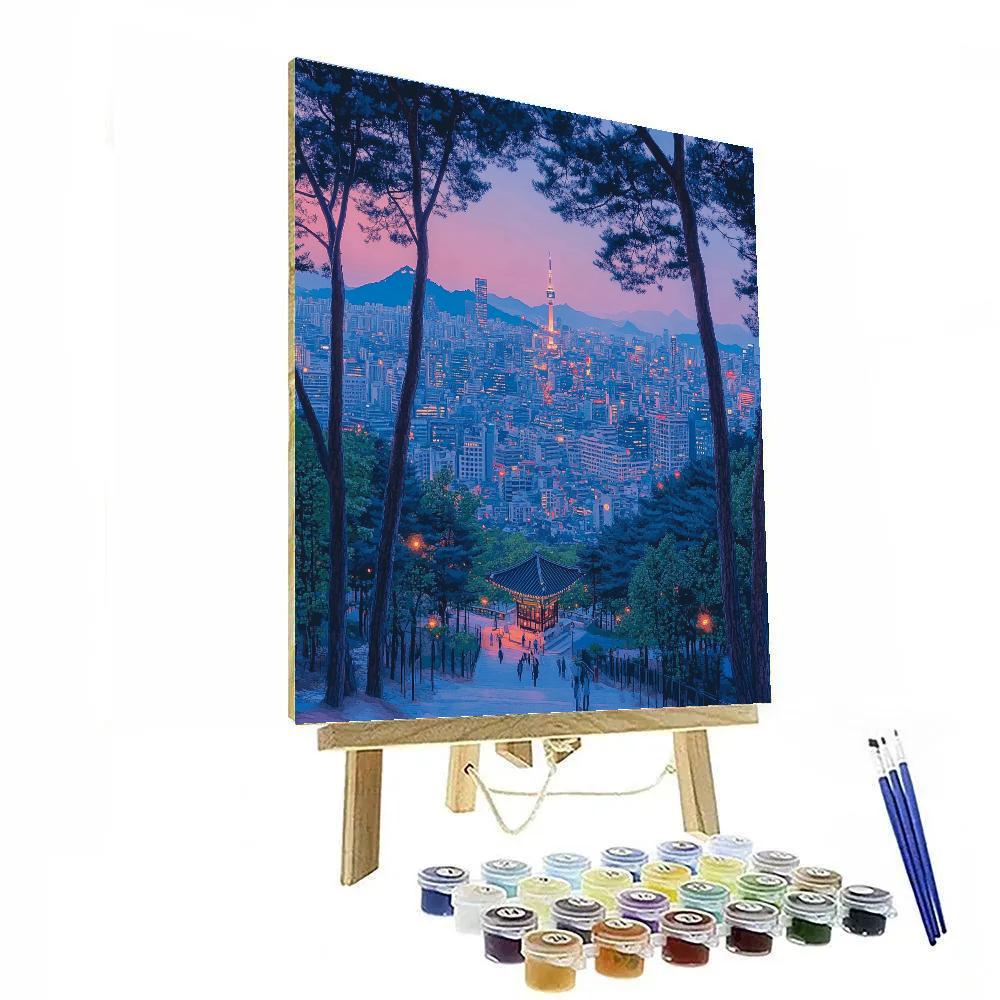Seoul Cityscape From Namsan Park Seoul South Korea Paint by numbers kits