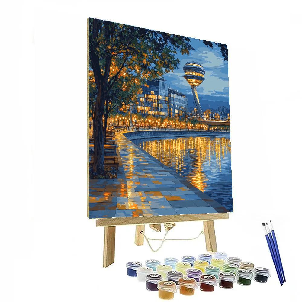 Riverfront Skyline Bratislava Slovakia paint by color