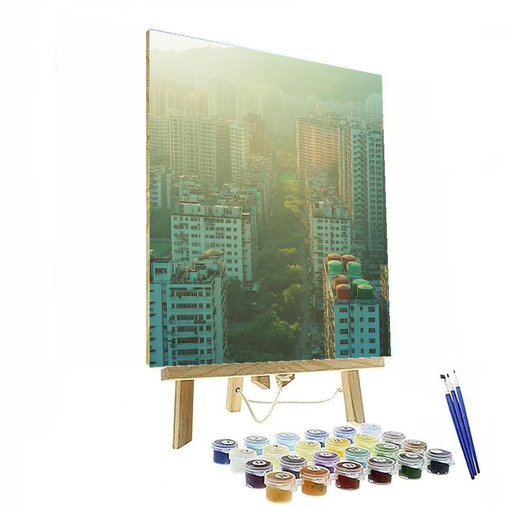 Kowloon Skyline From Sky100 Kowloon Hong Kong China painting number kit