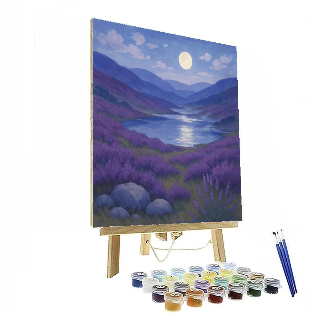 Moonlit Heather Valley Over Silver Tarn Paint by numbers kits