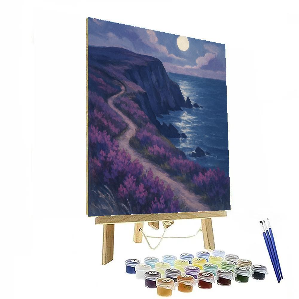 Moonlit Heather On The Sea Cliffs Paint by numbers kits