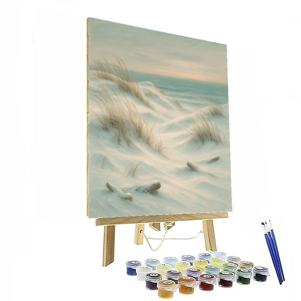 Seaside Dunes In Snow Hush Paint by numbers art