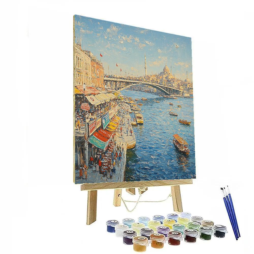 Istanbul Galata Bridge And Golden Horn Turkey Number painting