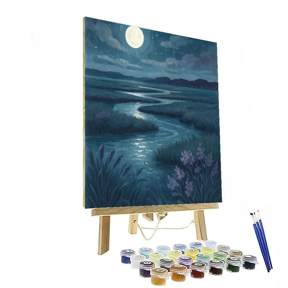 Moonlit Salt Marsh Serenity Paint by numbers art