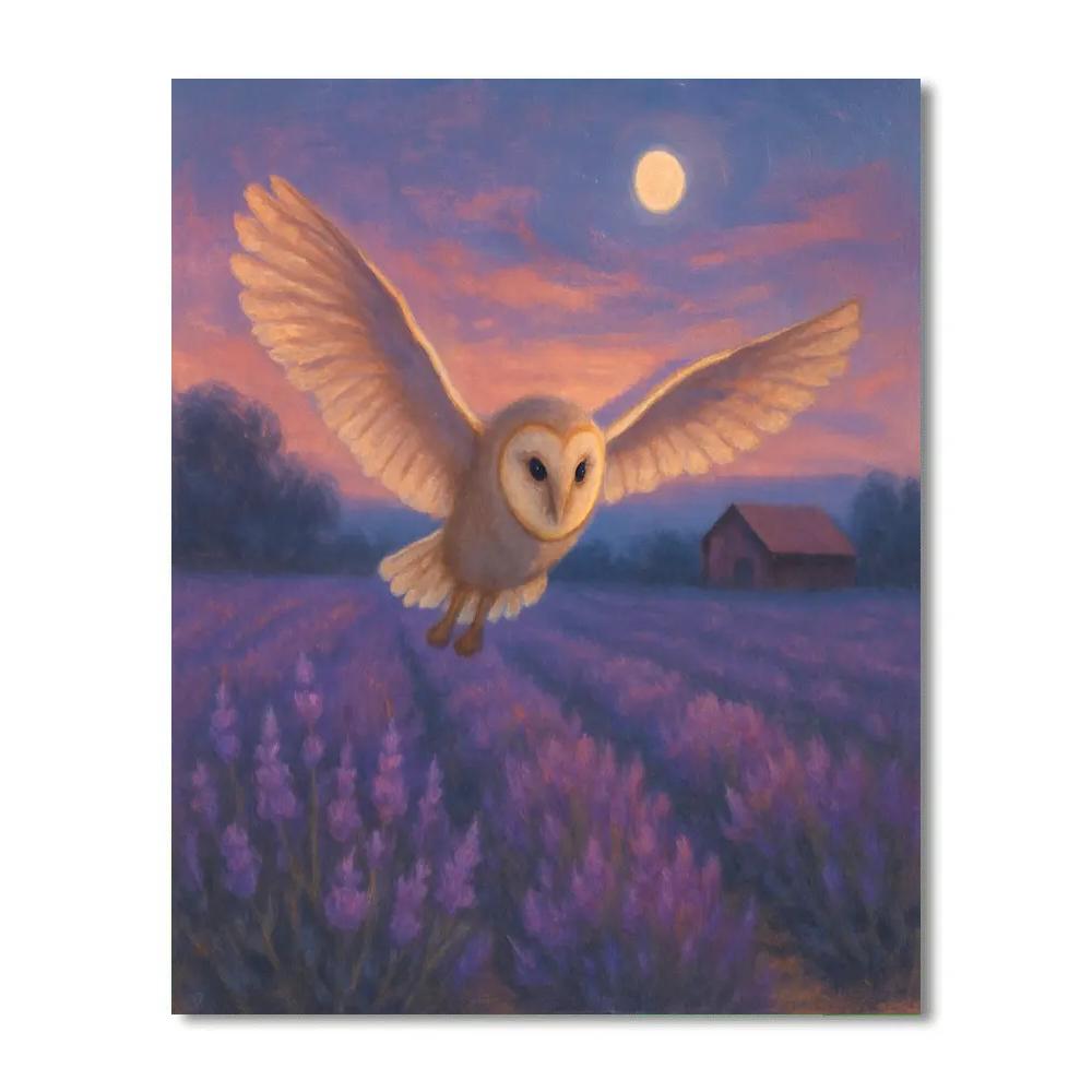 Twilight Barn Owl Over The Lavender Field Edge paint by color
