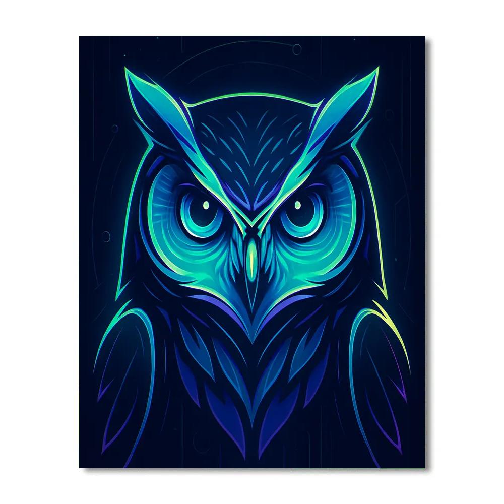 Aurora Circuit Owl Stare Painting by numbers kit