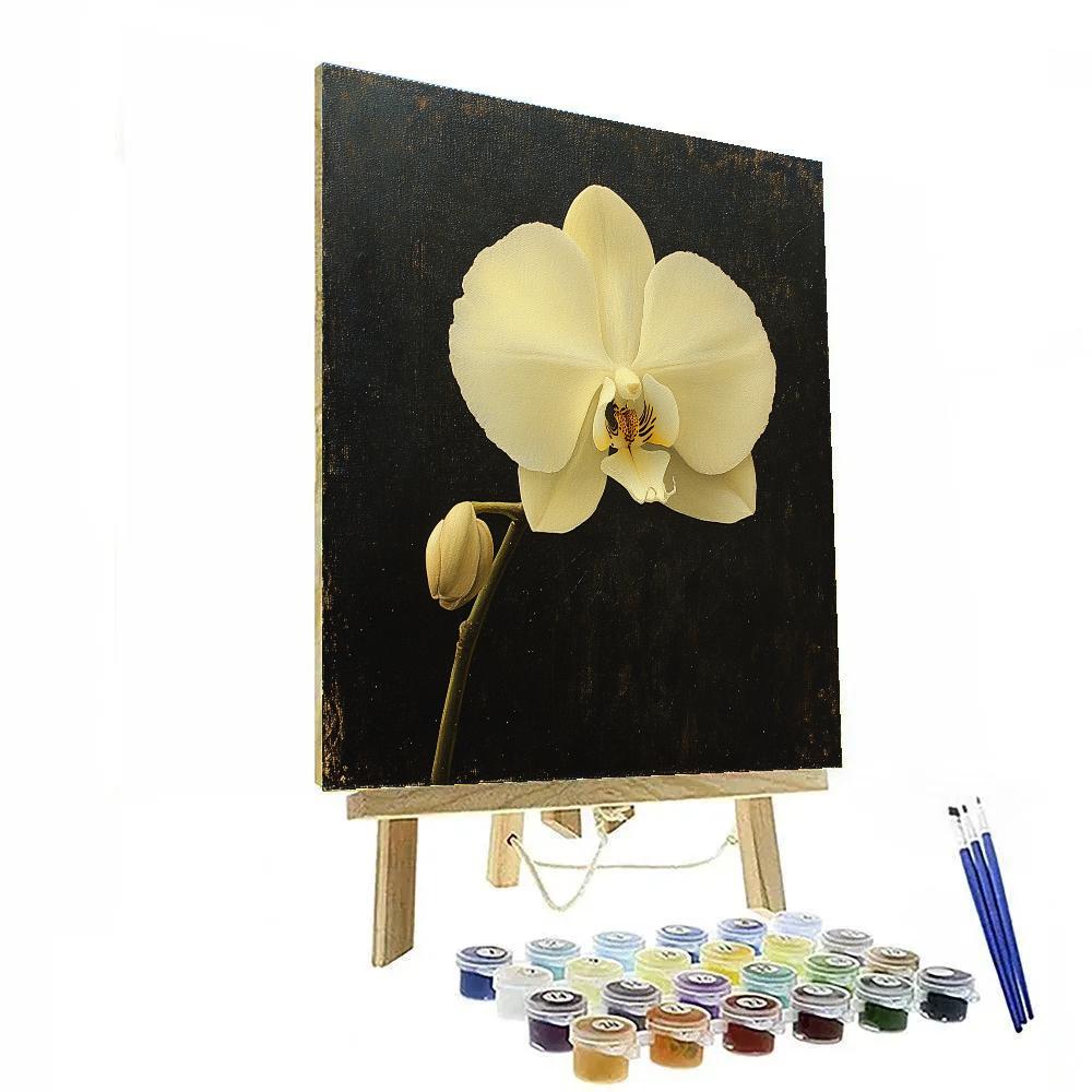 Caravaggio Inspired Nebula Orchid Study paint by numbers