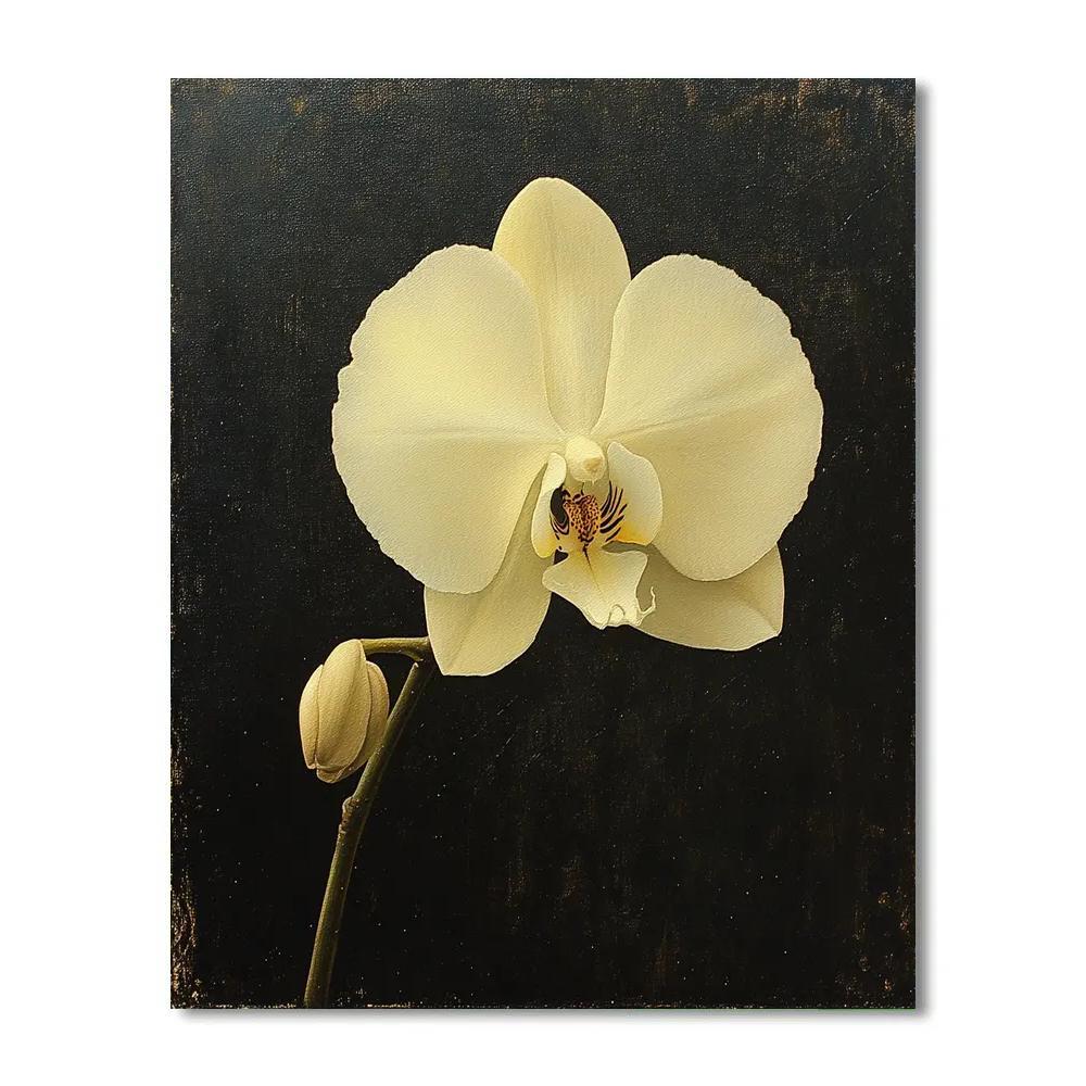 Caravaggio Inspired Nebula Orchid Study paint by numbers