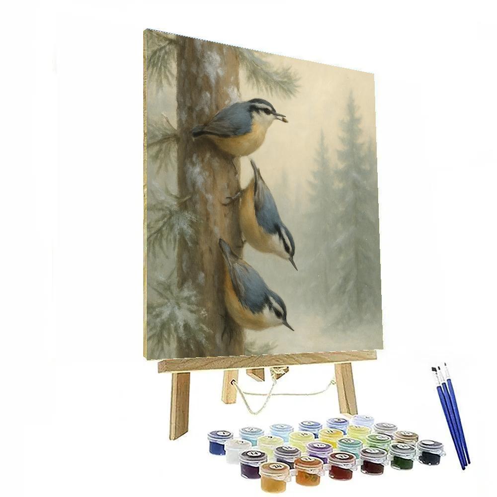 Snowy Pine Nuthatches In Quiet Morning Hush paint by number