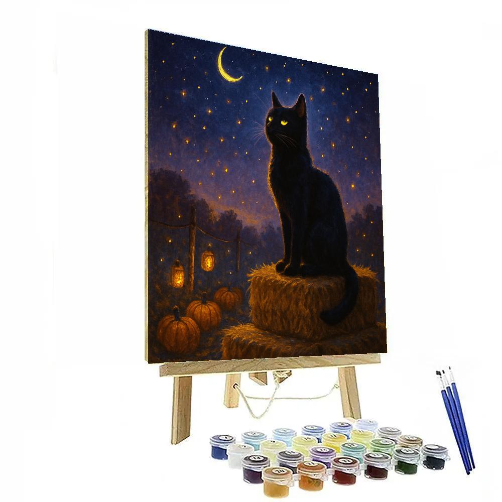 Black Cat Stargazer On The Hay Bale Throne Number painting