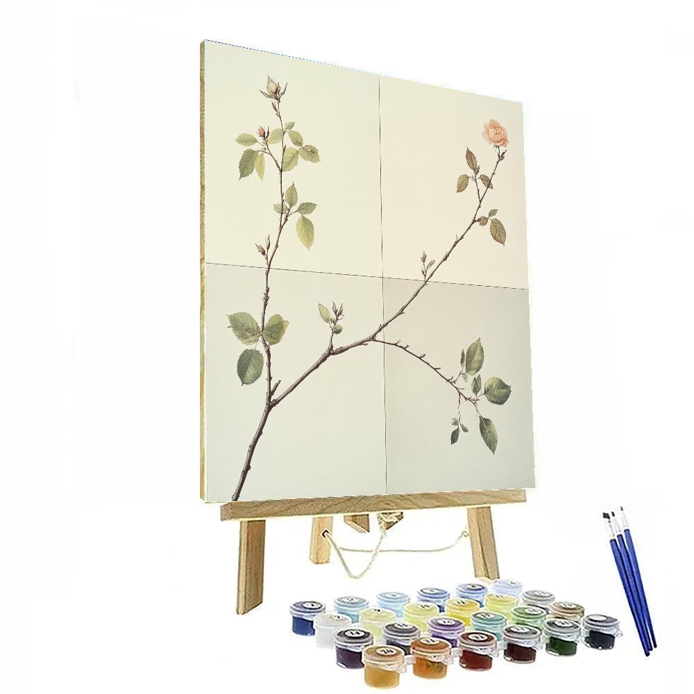 Leonardo Da Vinci Inspired Garden Seasons Quartet DIY paint by numbers
