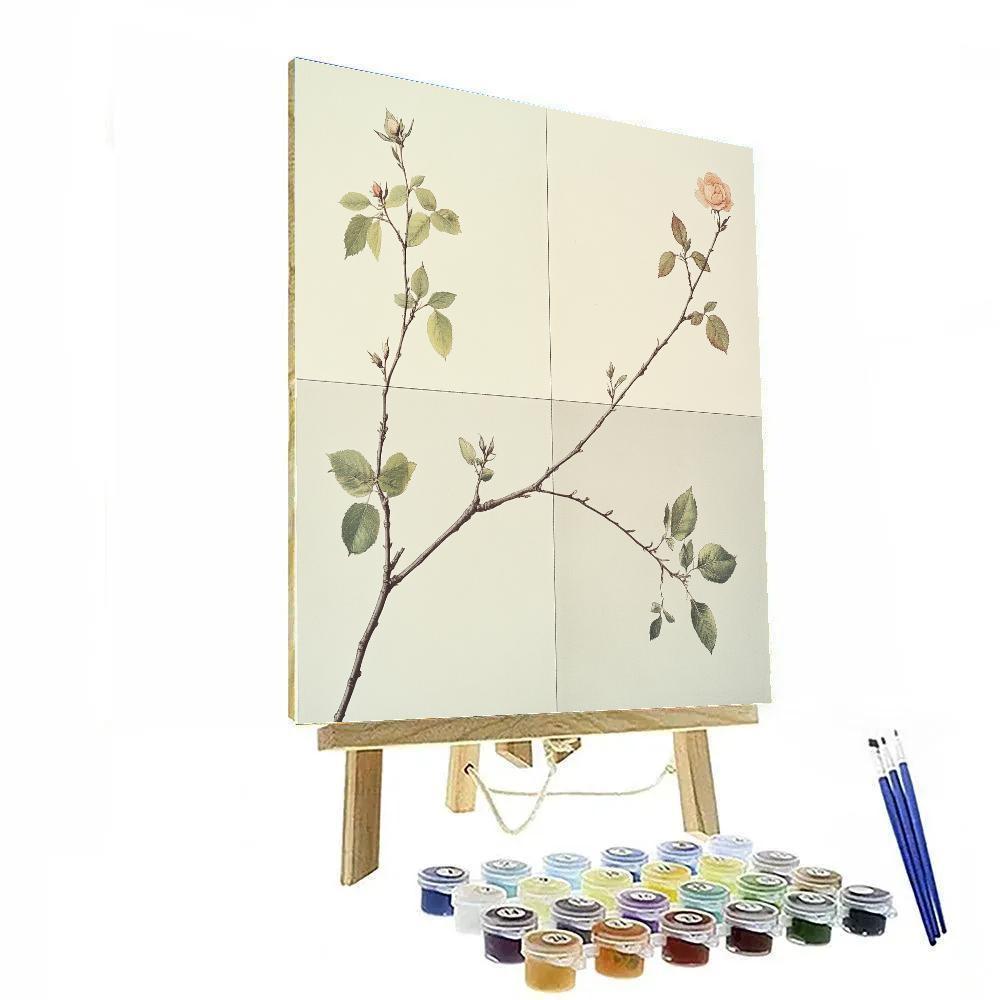 Leonardo Da Vinci Inspired Garden Seasons Quartet DIY paint by numbers