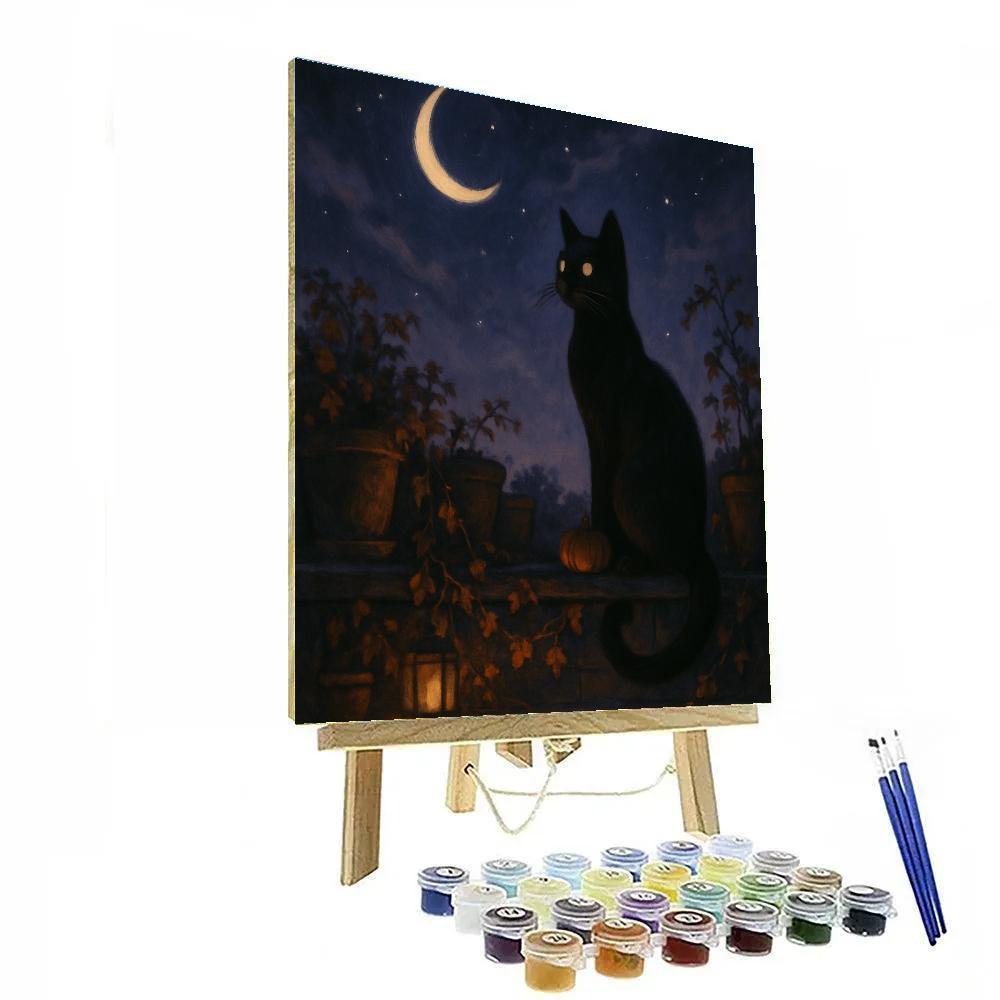 Black Cat Stargazer On The Rooftop Garden painting number kit