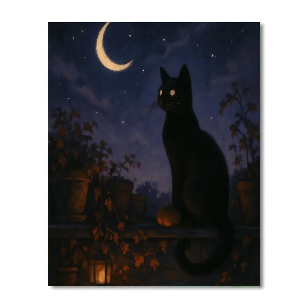 Black Cat Stargazer On The Rooftop Garden painting number kit