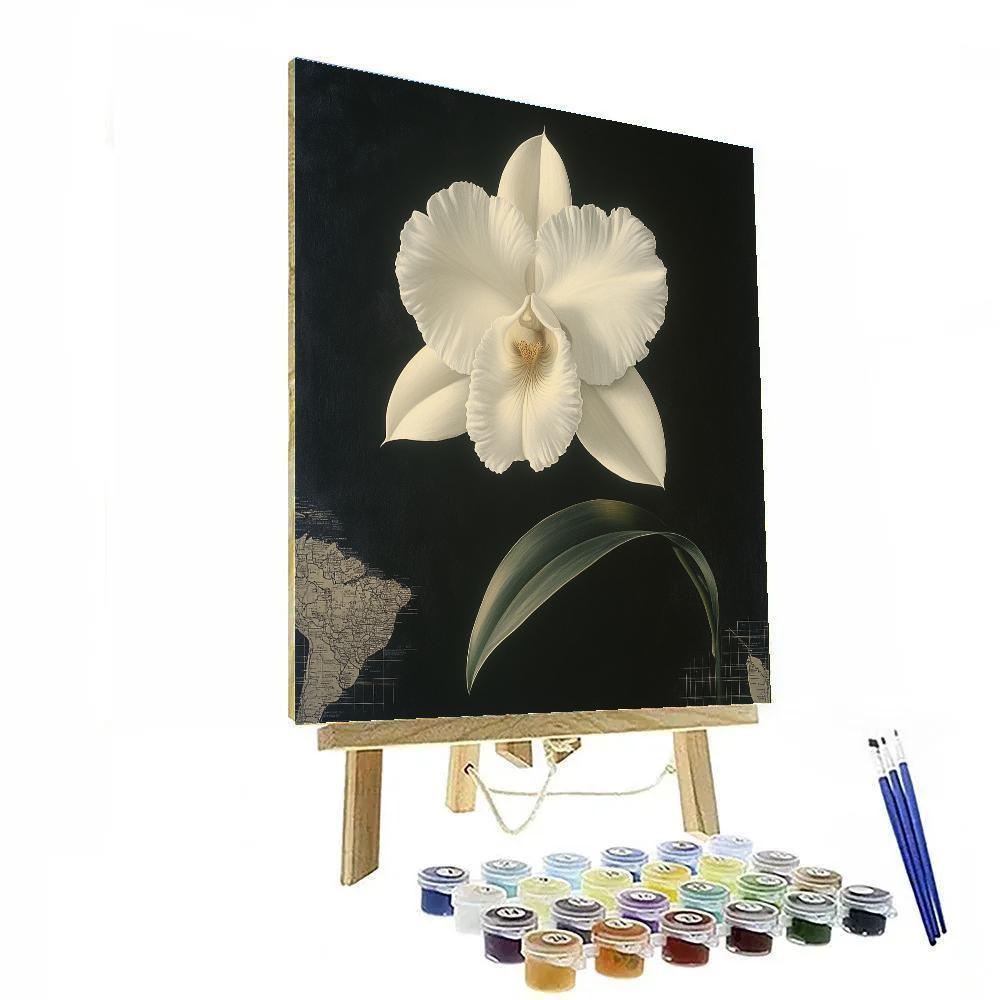 Caravaggio Inspired Aurora Orchid Shadow Paint by numbers kits