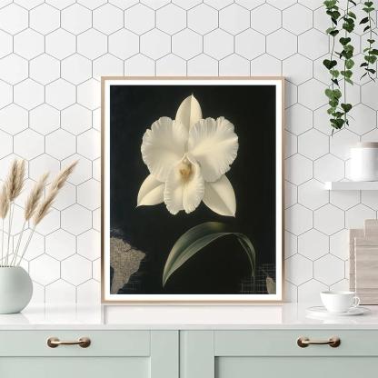 Caravaggio Inspired Aurora Orchid Shadow Paint by numbers kits