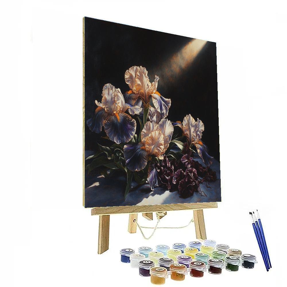 Caravaggio Inspired Nebula Bloom Stillness Paint by numbers art