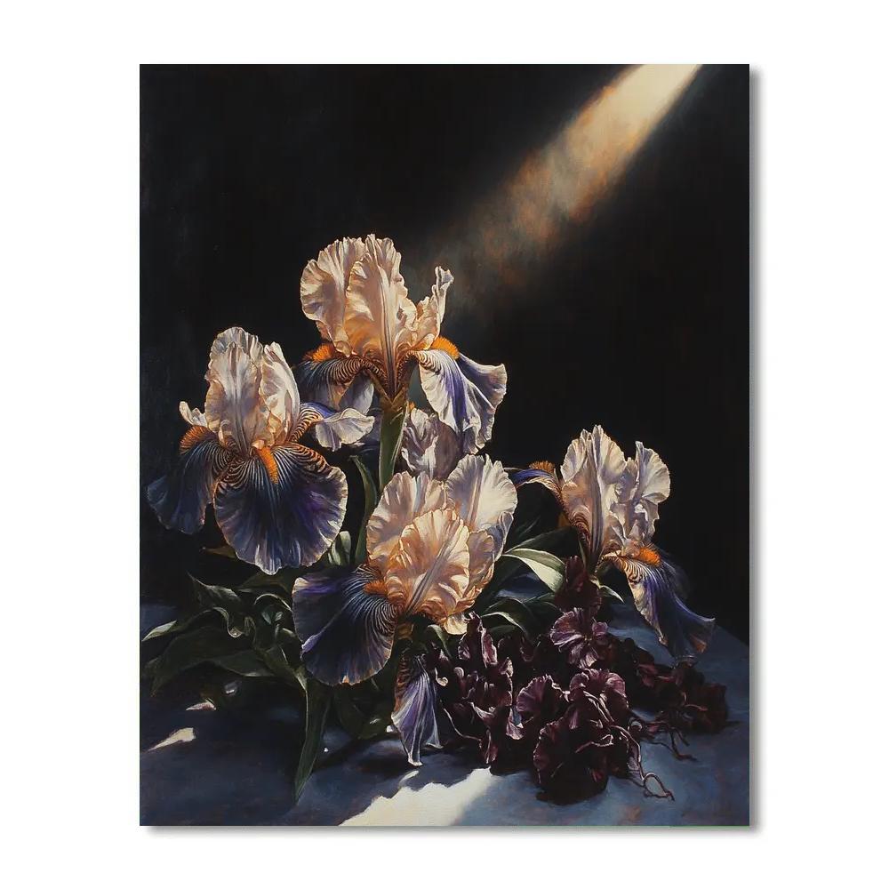 Caravaggio Inspired Nebula Bloom Stillness Paint by numbers art