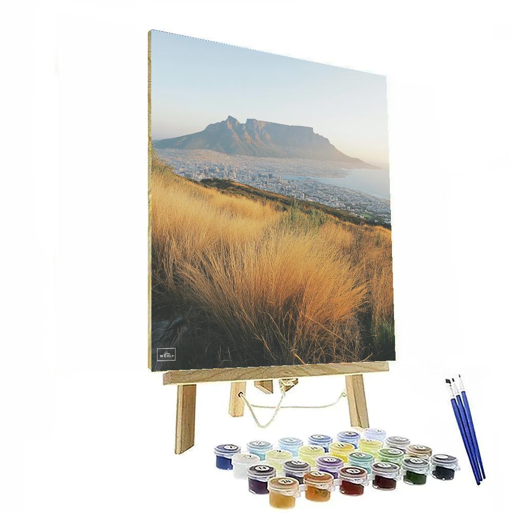 Clifftop View Of Table Mountain From Signal Hill Cape Town South Africa Paint by numbers kits