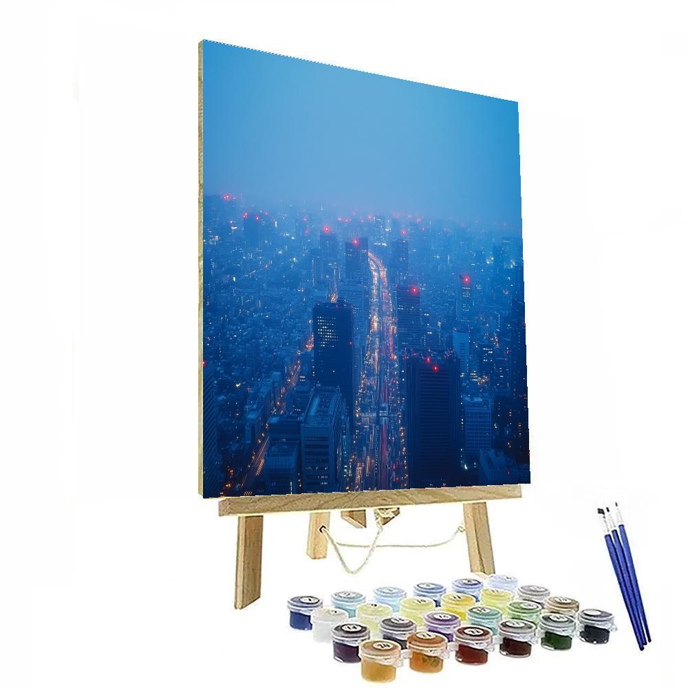 Misty Rooftop View From The Tokyo Metropolitan Government Building Tokyo Japan DIY paint by numbers