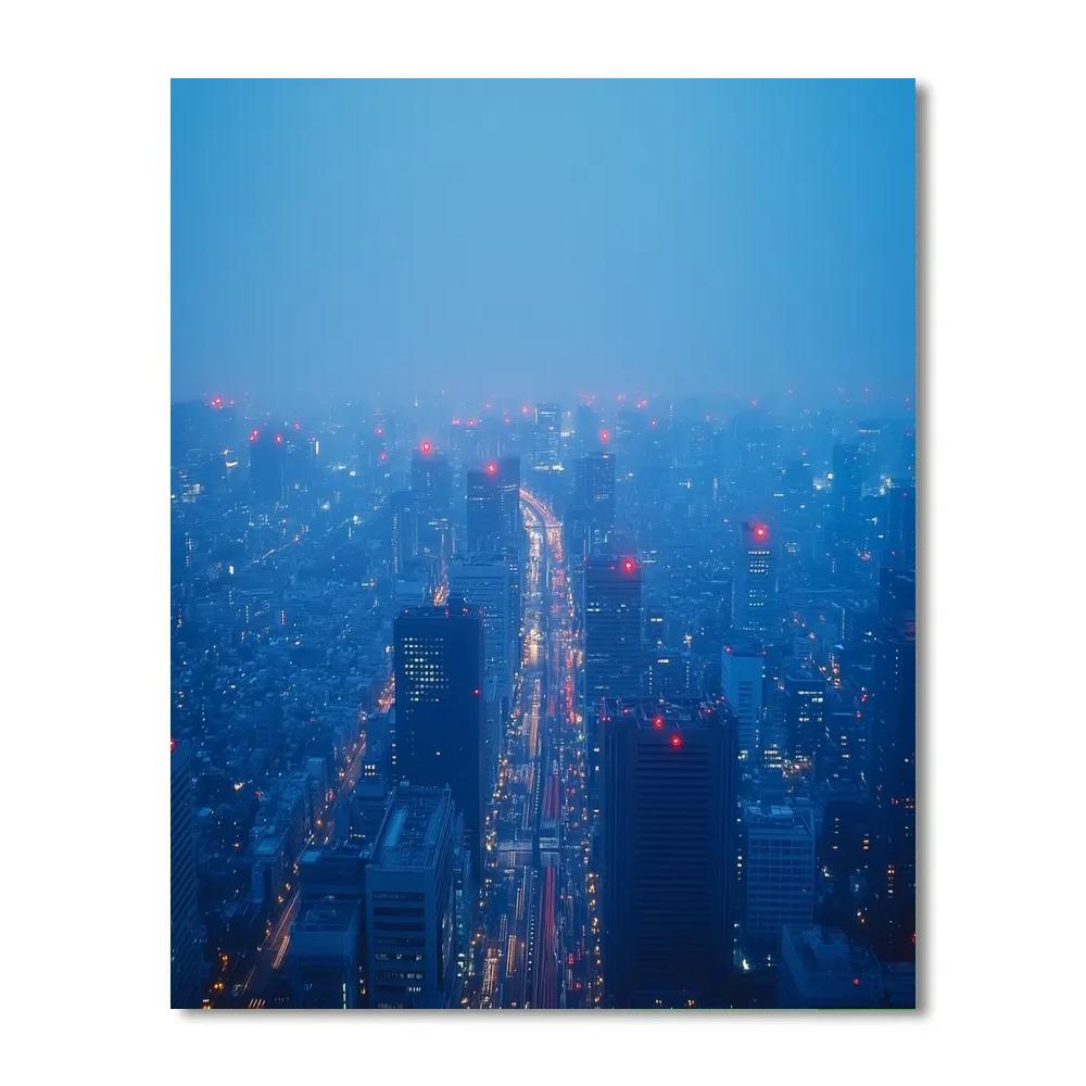 Misty Rooftop View From The Tokyo Metropolitan Government Building Tokyo Japan DIY paint by numbers