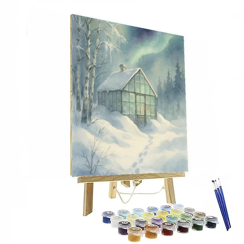 Aurora Over The Snowbound Glasshouse Numbered painting kits