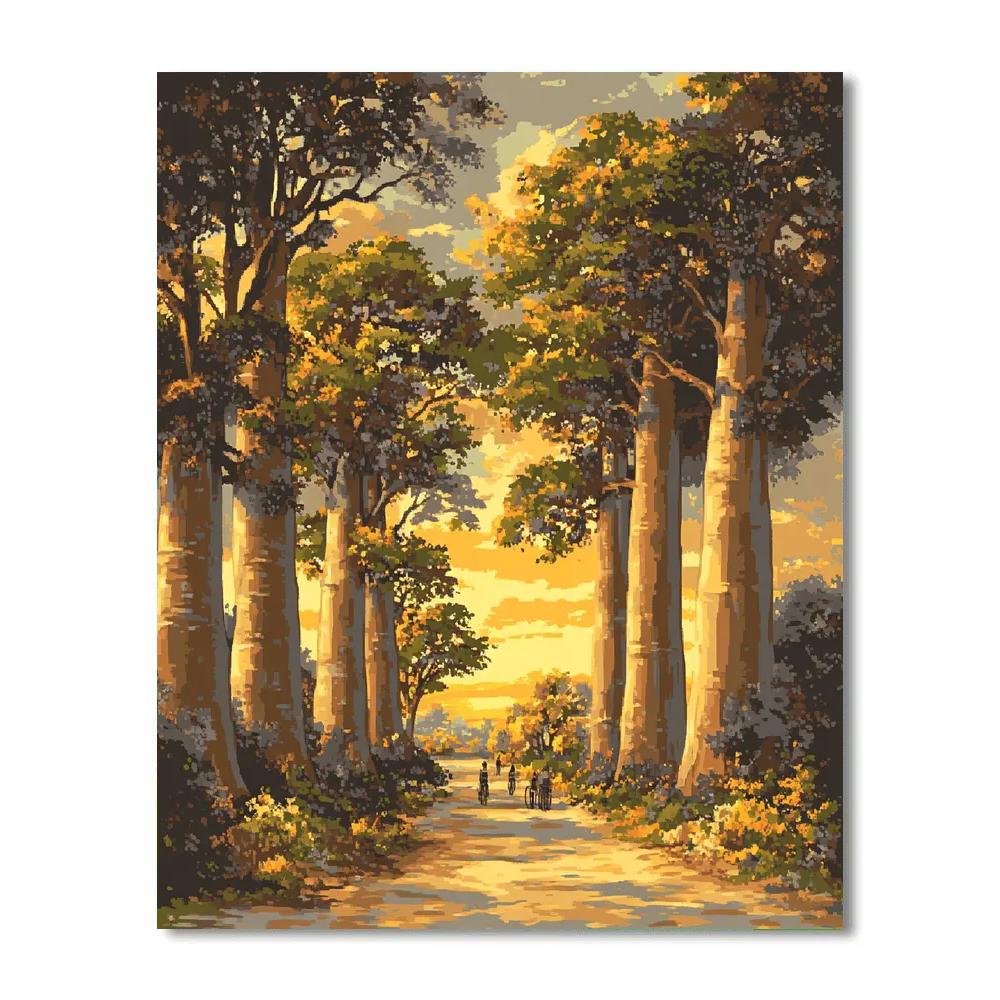 Avenue Of The Baobabs City Park Antananarivo Madagascar paint by number