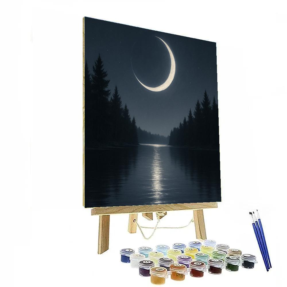 Moon Silver Quiet Paint by numbers kits