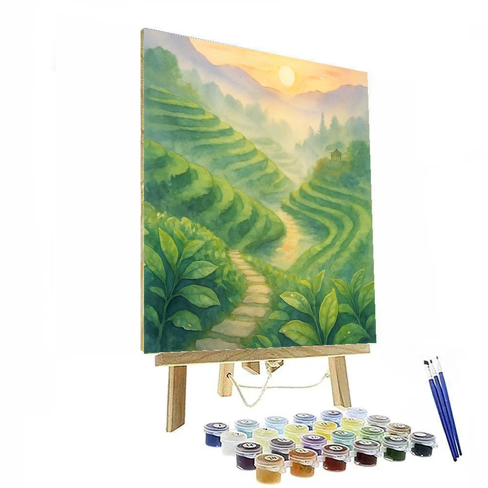 Misty Tea Terraces At Daybreak paint by number