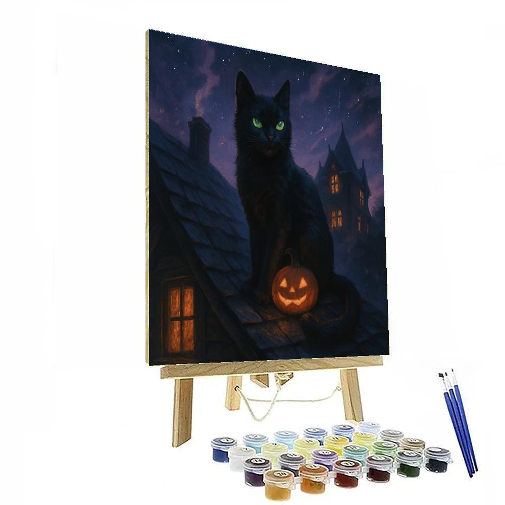 Black Cat Stargazer On The Attic Roof Paint by numbers kits
