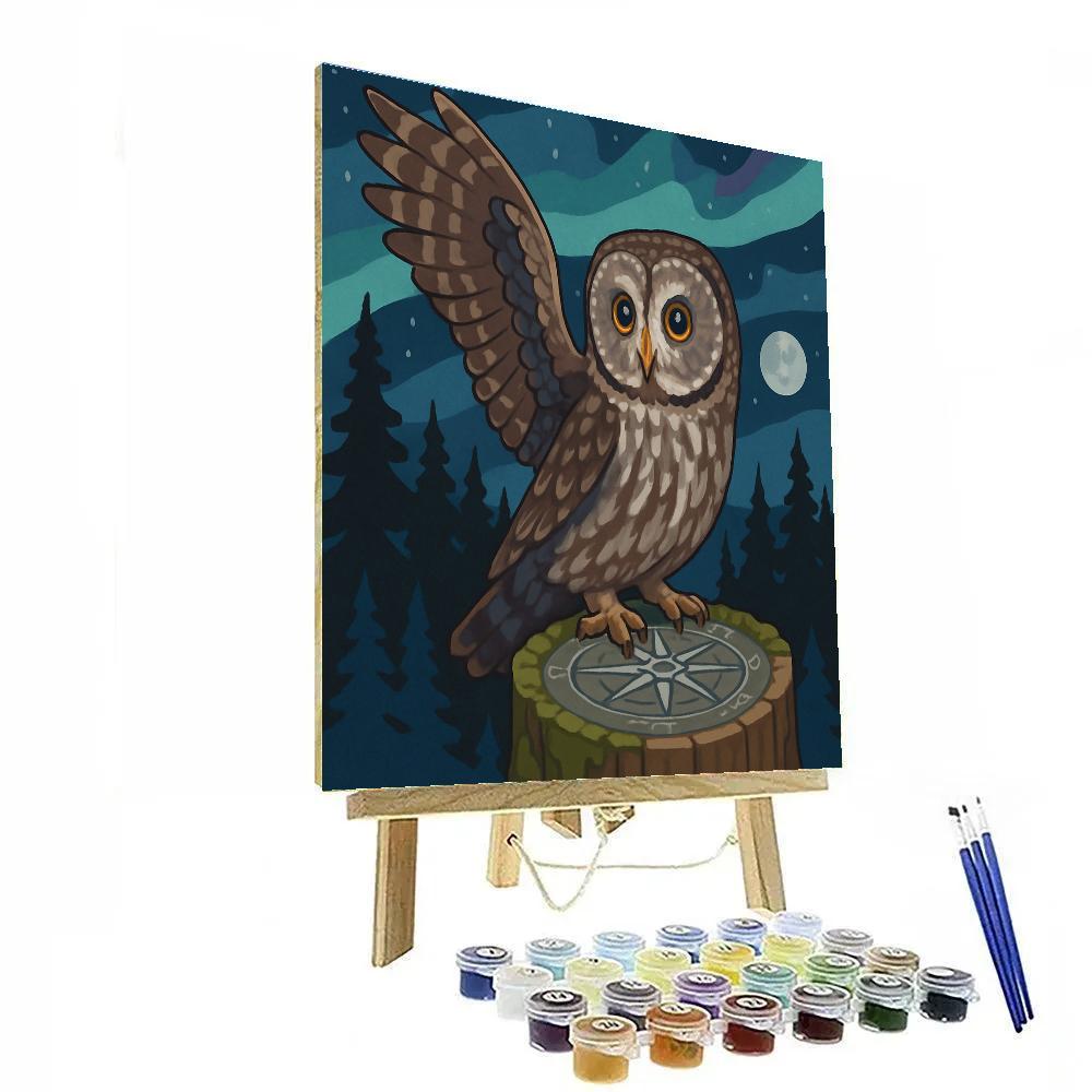 Aurora Mapmaker Owl paint by numbers