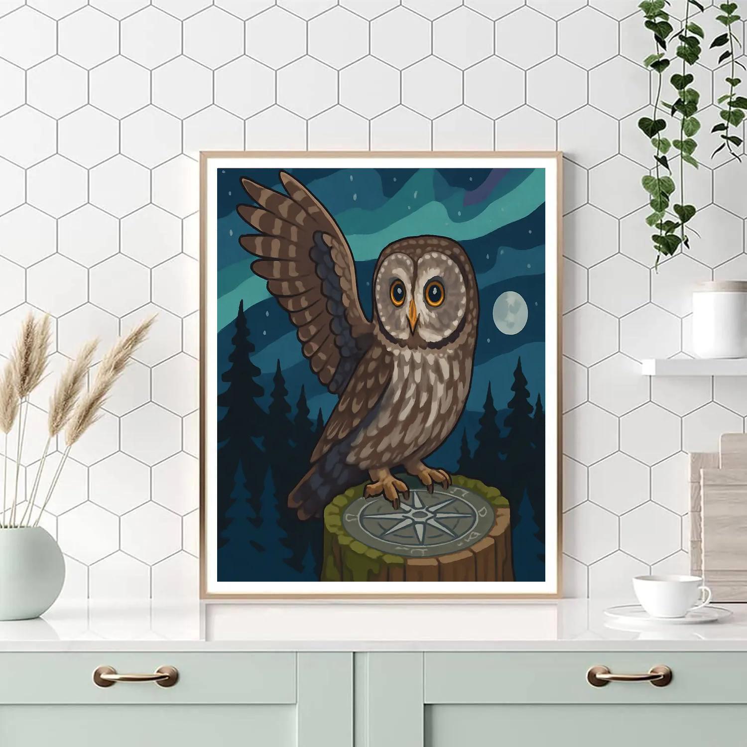 Aurora Mapmaker Owl paint by numbers