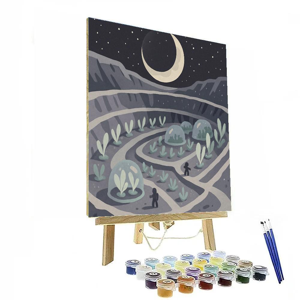 Moon-Harvested Crater Garden Painting by numbers kit