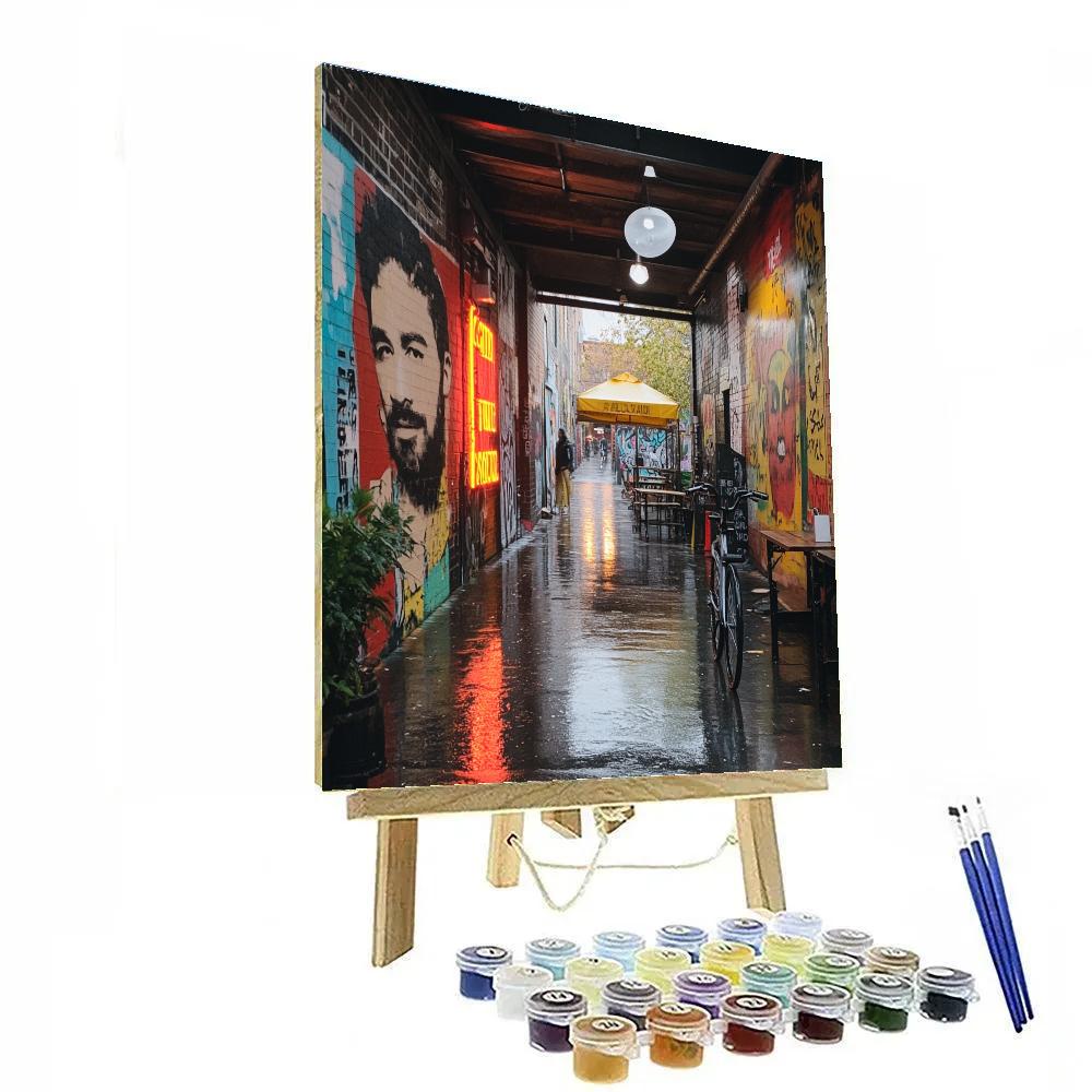 Street Art Alleys Of Fitzroy Melbourne Australia Painting by numbers kit