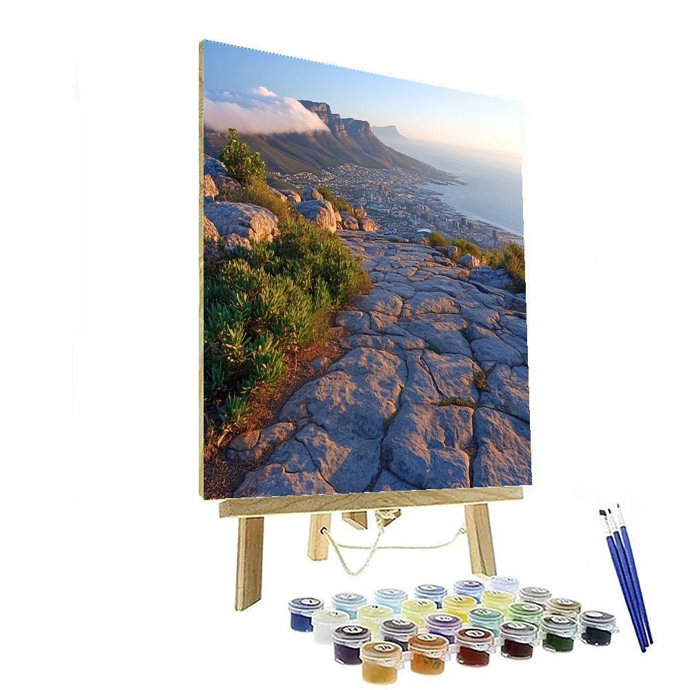 Clifftop View At Table Mountain Cable Station Cape Town South Africa painting number kit