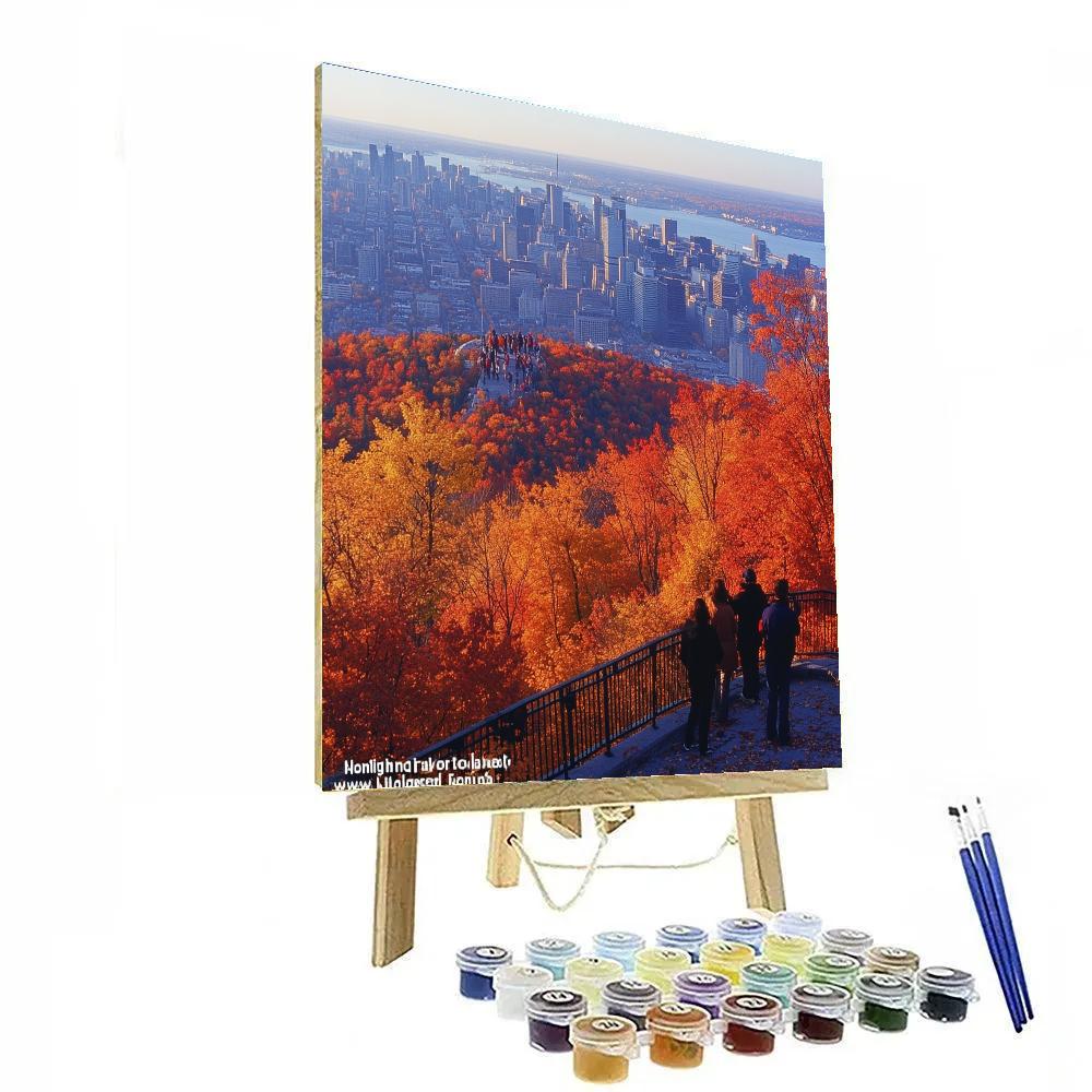 Mount Royal Lookout Over Downtown Montreal Canada paint by number