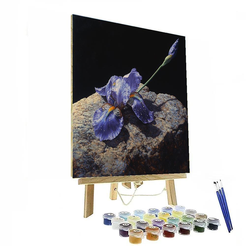 Caravaggio Inspired Stormglass Iris Petals In Shadow Paint by numbers art