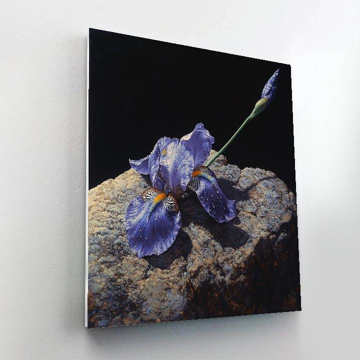 Caravaggio Inspired Stormglass Iris Petals In Shadow Paint by numbers art