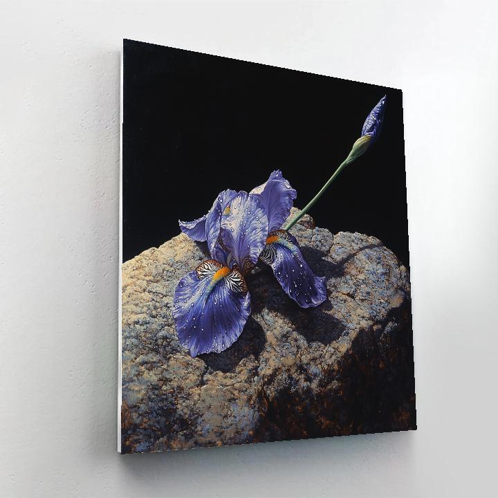 Caravaggio Inspired Stormglass Iris Petals In Shadow Paint by numbers art