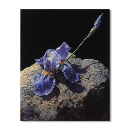 Caravaggio Inspired Stormglass Iris Petals In Shadow Paint by numbers art