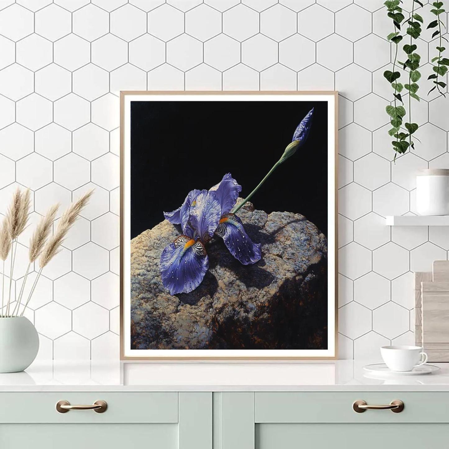 Caravaggio Inspired Stormglass Iris Petals In Shadow Paint by numbers art