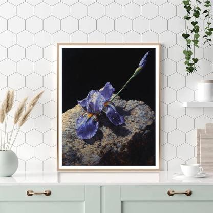 Caravaggio Inspired Stormglass Iris Petals In Shadow Paint by numbers art