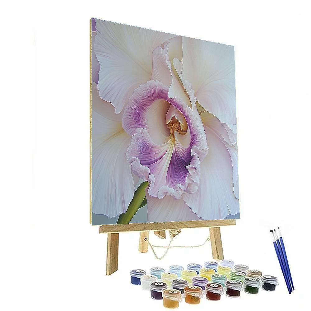 Georgia OKeeffe Inspired Planetary Orchid Close Up Numbered painting kits