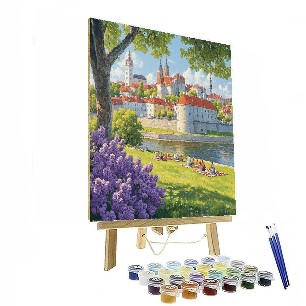 Old Town Square Skyline View From A Riverside Park Tallinn Estonia Numbered painting kits
